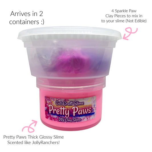 Pretty Paws DIY Slime CatsCraft Kit