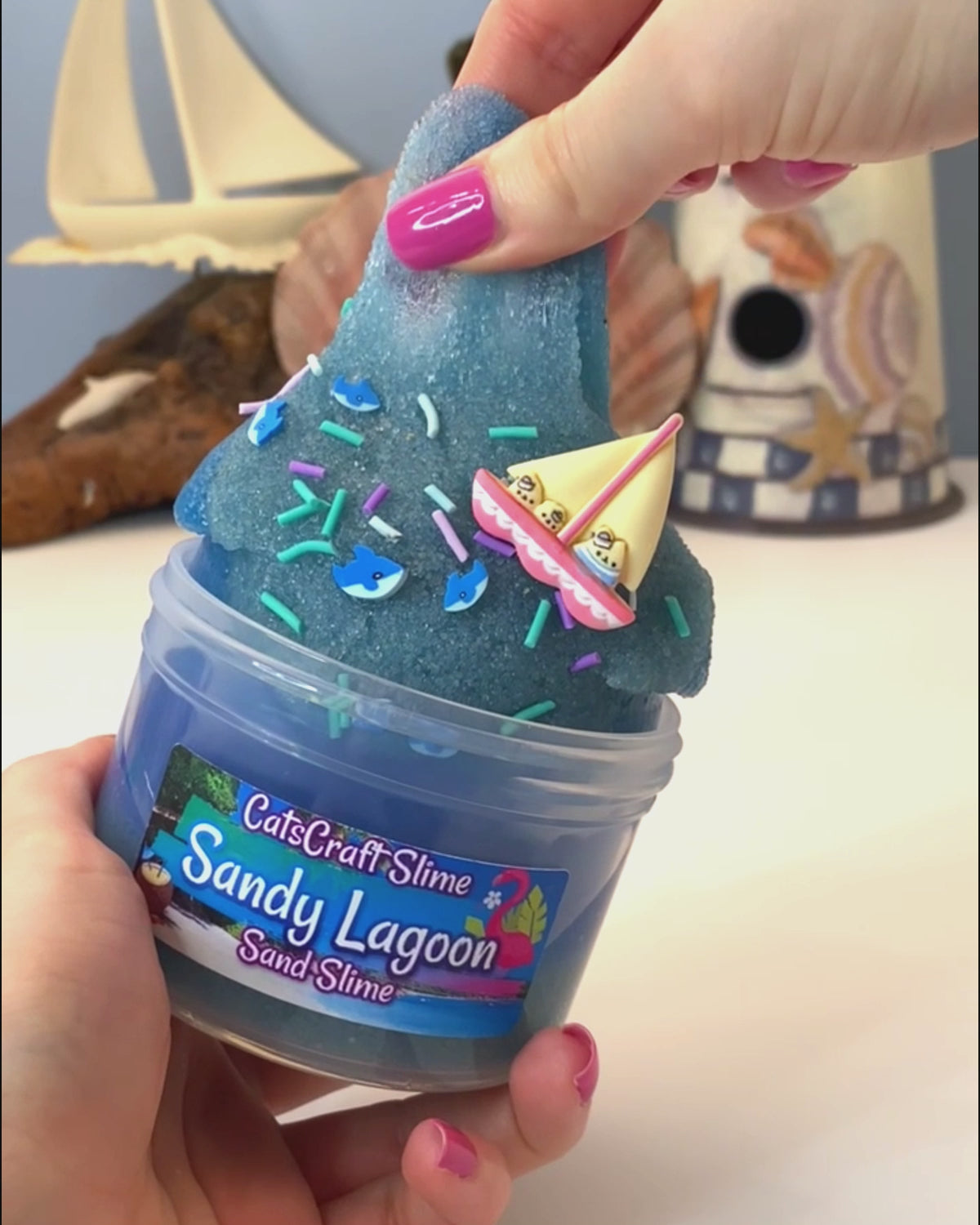 sandy lagoon video catscraft