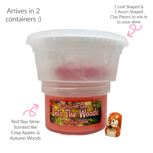 into the woods diy slime kit